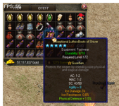 GuardianBoots.png