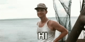 Hi.gif